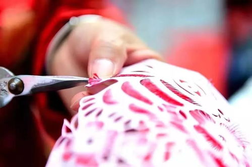 寶雞岐山轉鼓將代表家鄉爭奪 陜西省民間文化藝術之鄉 稱號