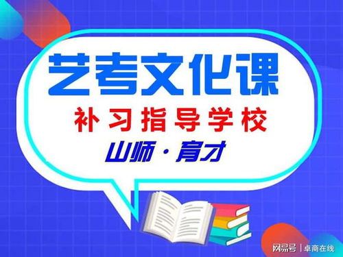 濟南藝考文化課培訓(xùn)輔導(dǎo)學(xué)校 山師育才聊藝考生綜合大學(xué)文化藝術(shù)咨詢